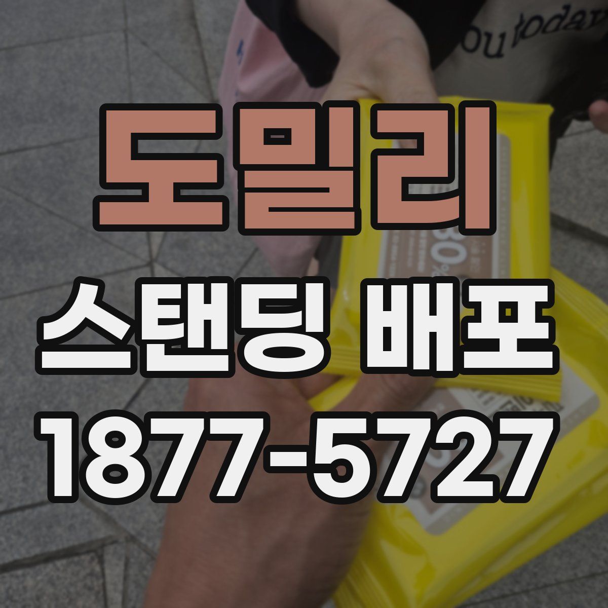 도밀리 스탠딩 배포