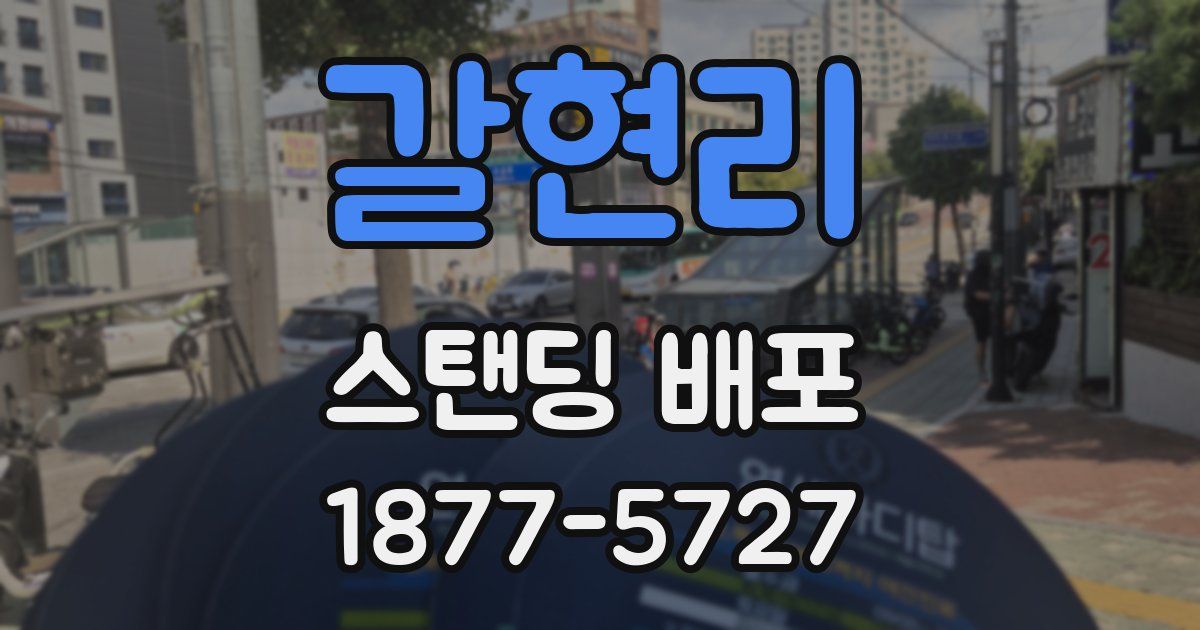 갈현리 스탠딩 배포