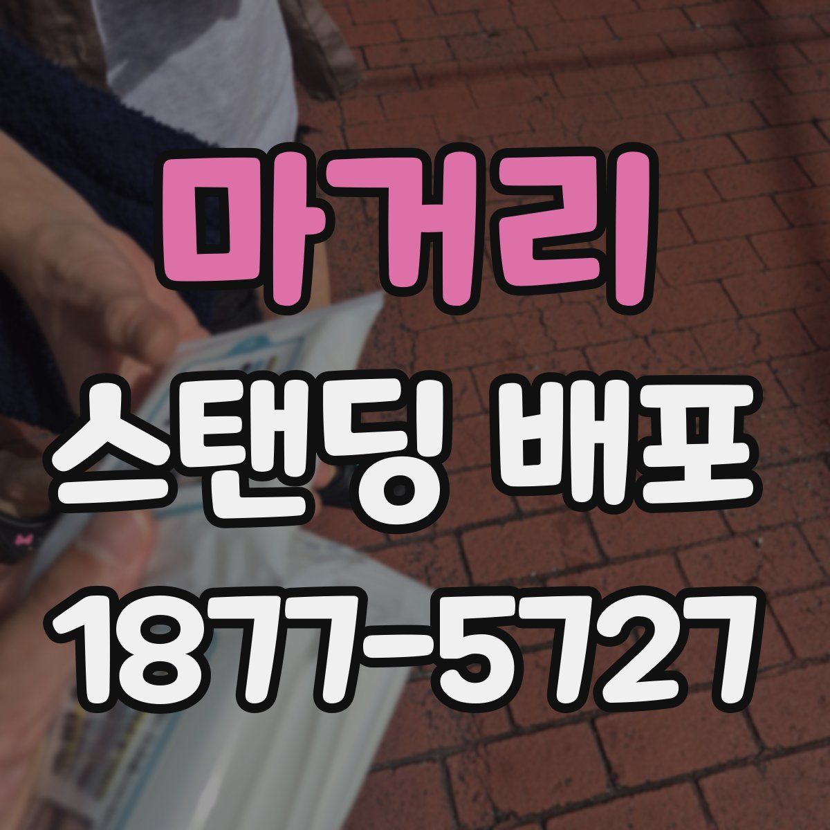 마거리 스탠딩 배포