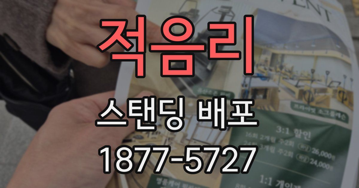 적음리 스탠딩 배포