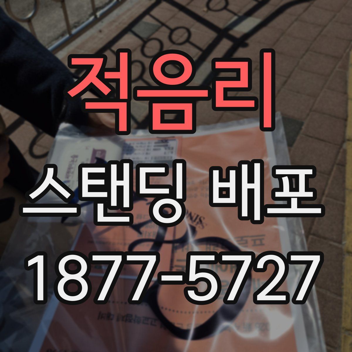 적음리 스탠딩 배포
