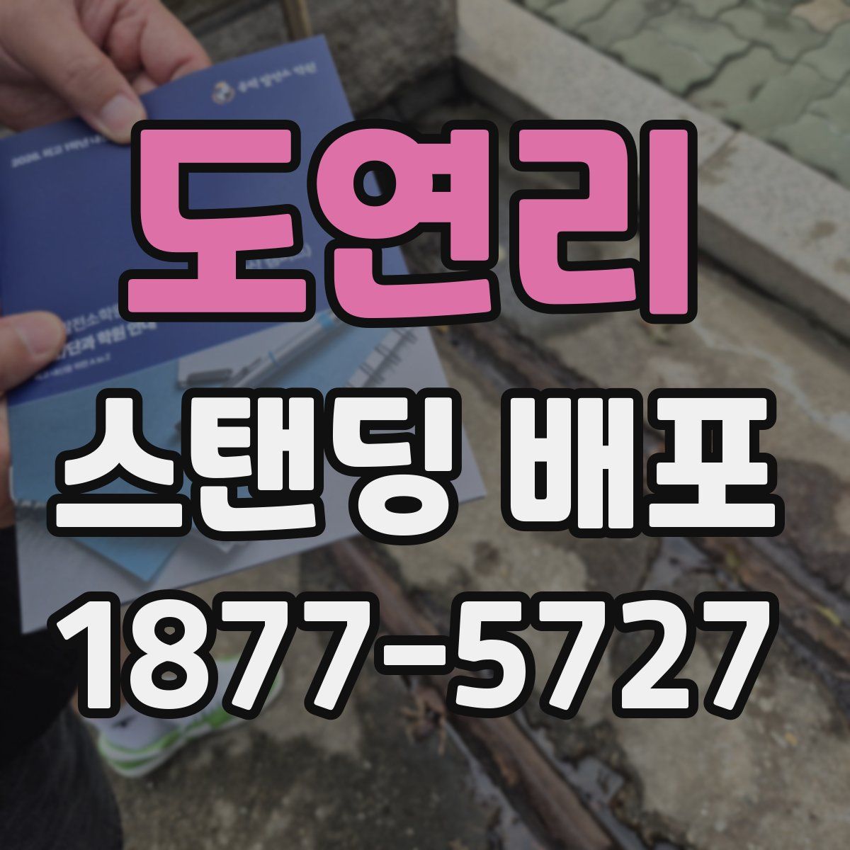 도연리 스탠딩 배포
