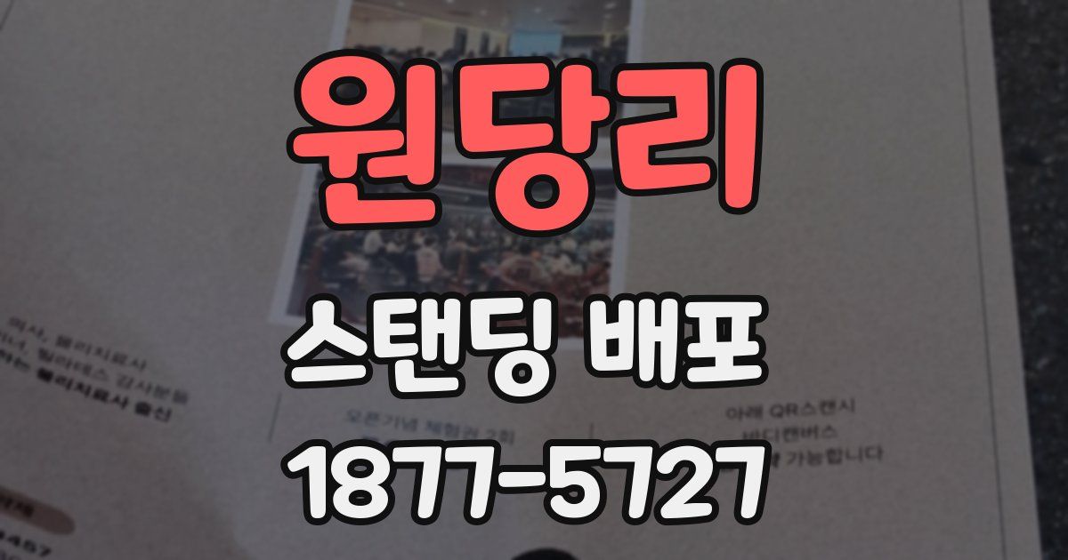 원당리 스탠딩 배포