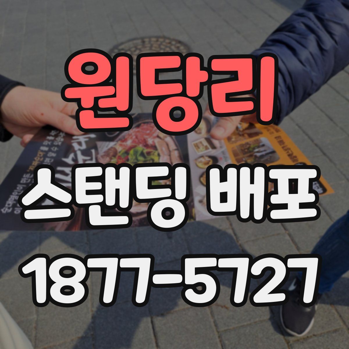 원당리 스탠딩 배포