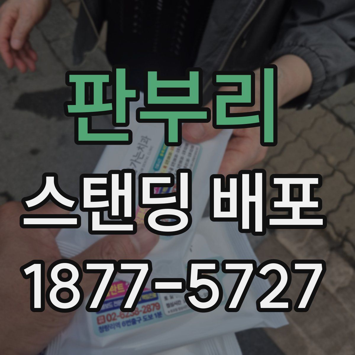 판부리 스탠딩 배포