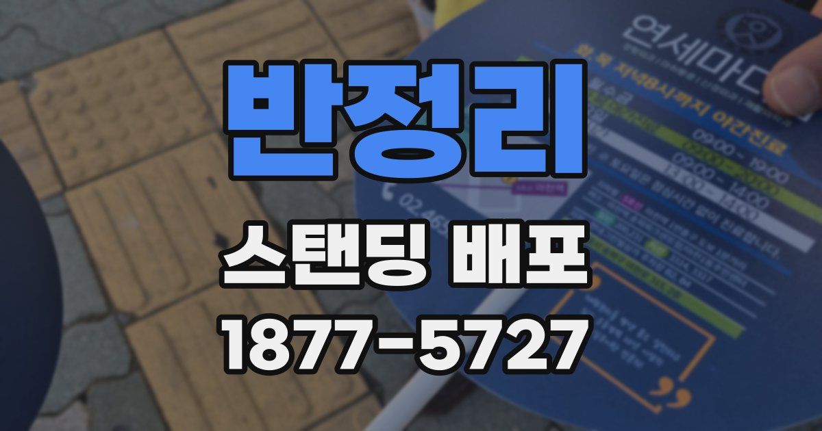 반정리 스탠딩 배포