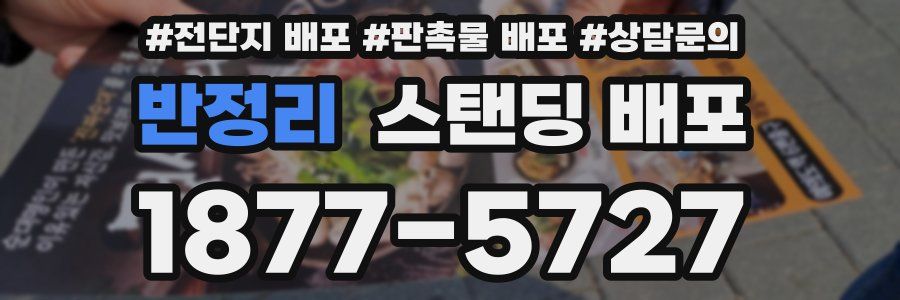 반정리 스탠딩 배포