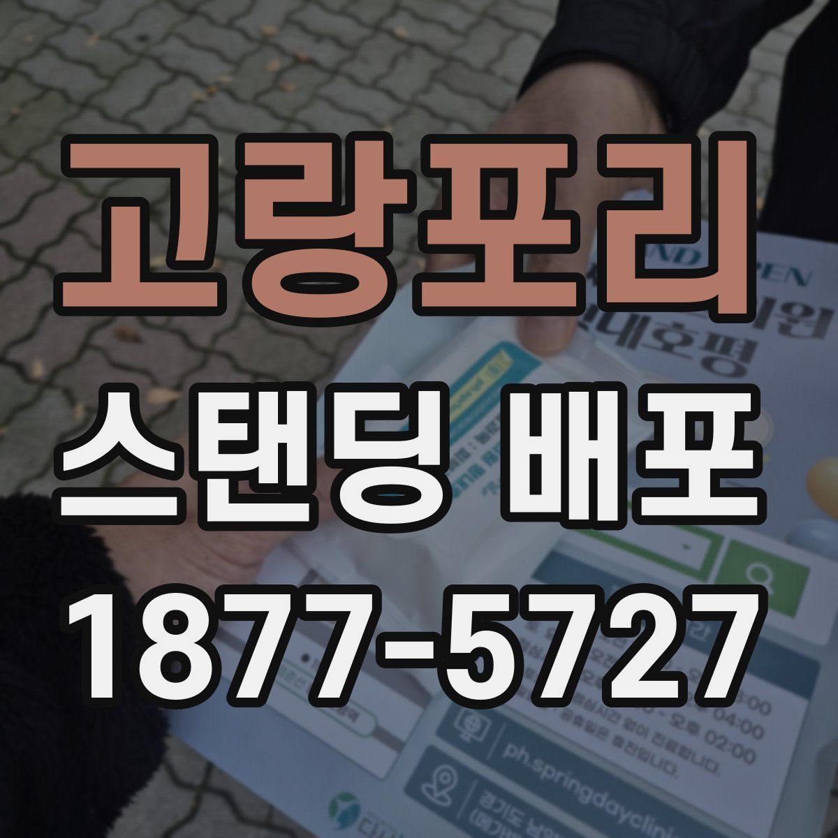 고랑포리 스탠딩 배포