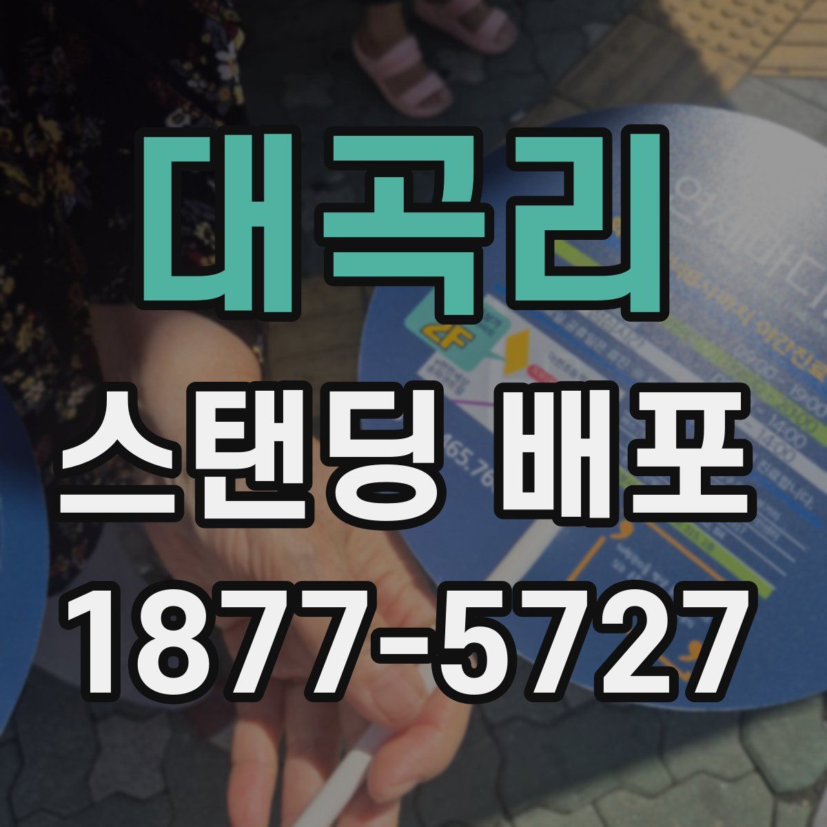 대곡리 스탠딩 배포