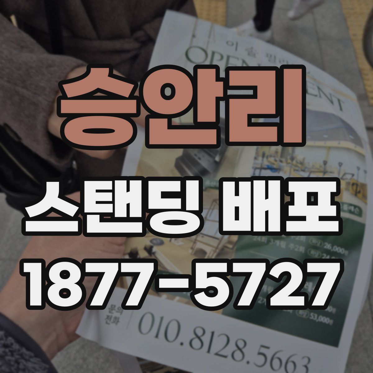 승안리 스탠딩 배포