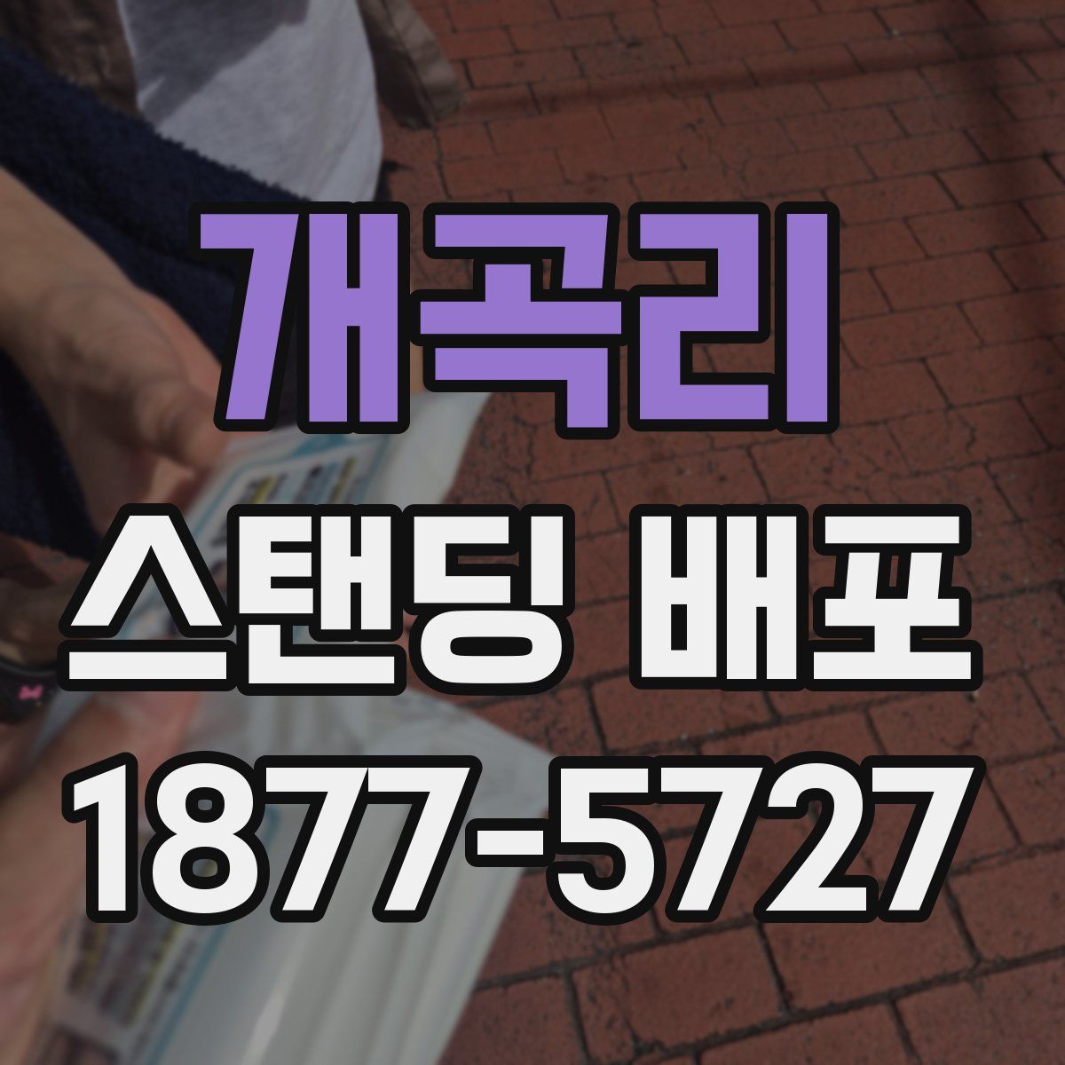 개곡리 스탠딩 배포