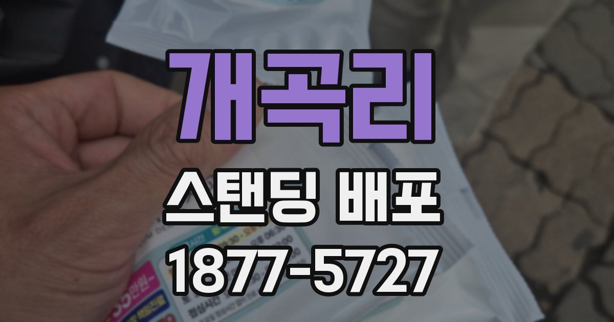 개곡리 스탠딩 배포