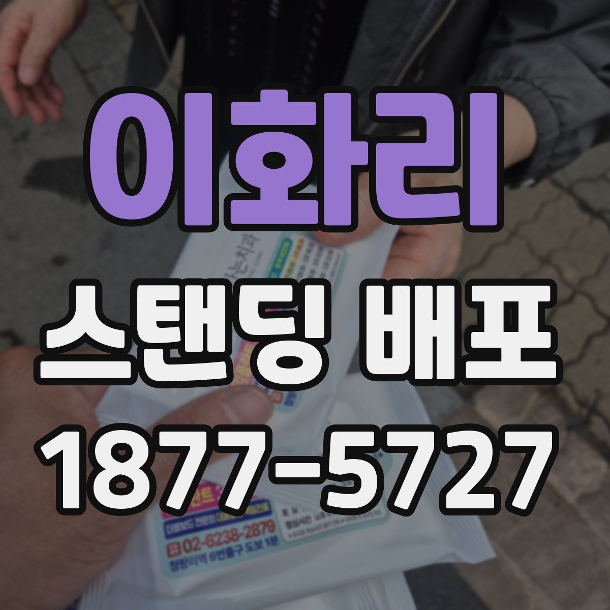 이화리 스탠딩 배포