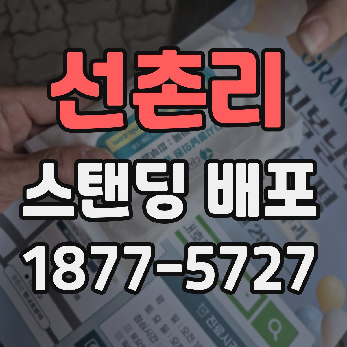 선촌리 스탠딩 배포