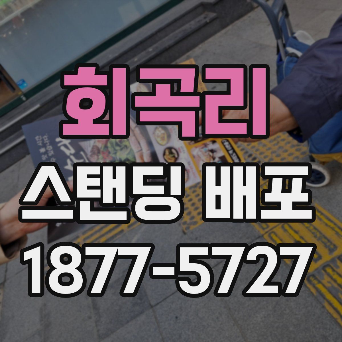 회곡리 스탠딩 배포