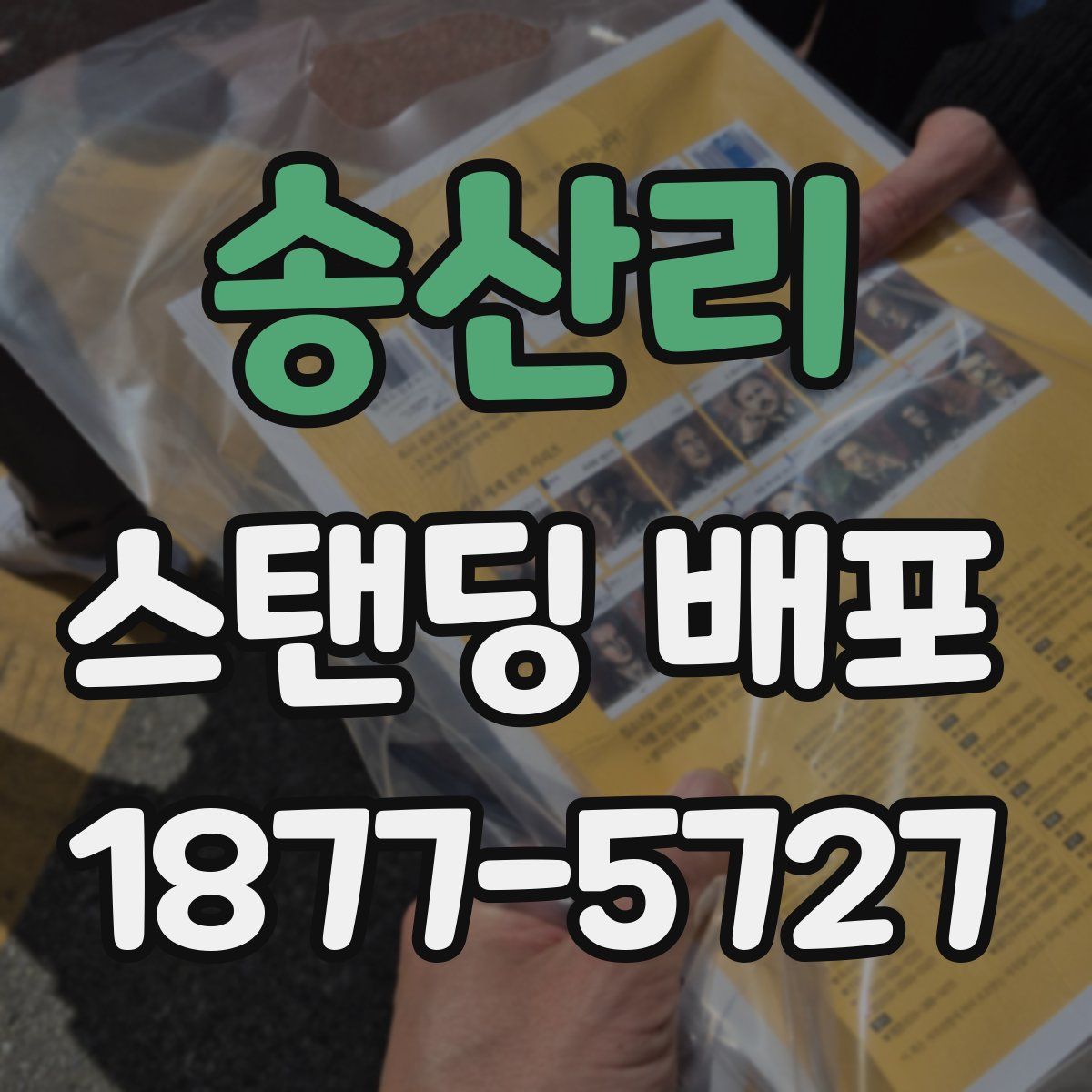 송산리 스탠딩 배포