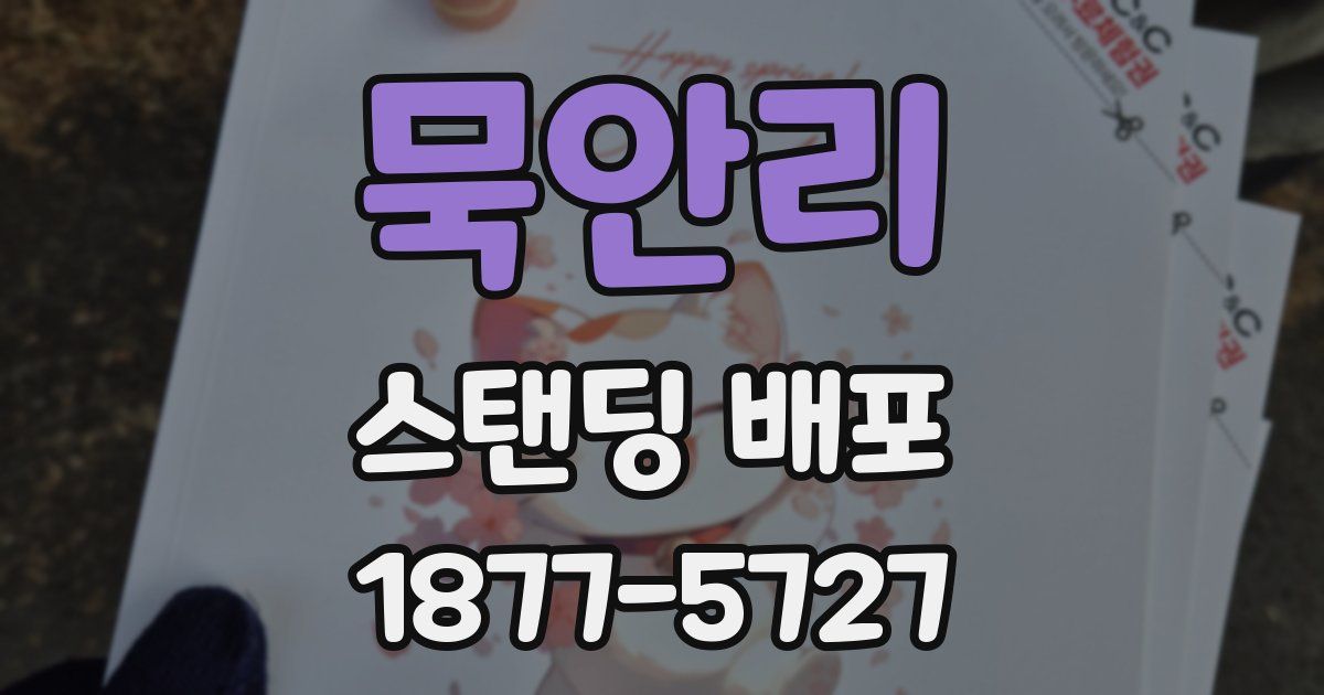 묵안리 스탠딩 배포