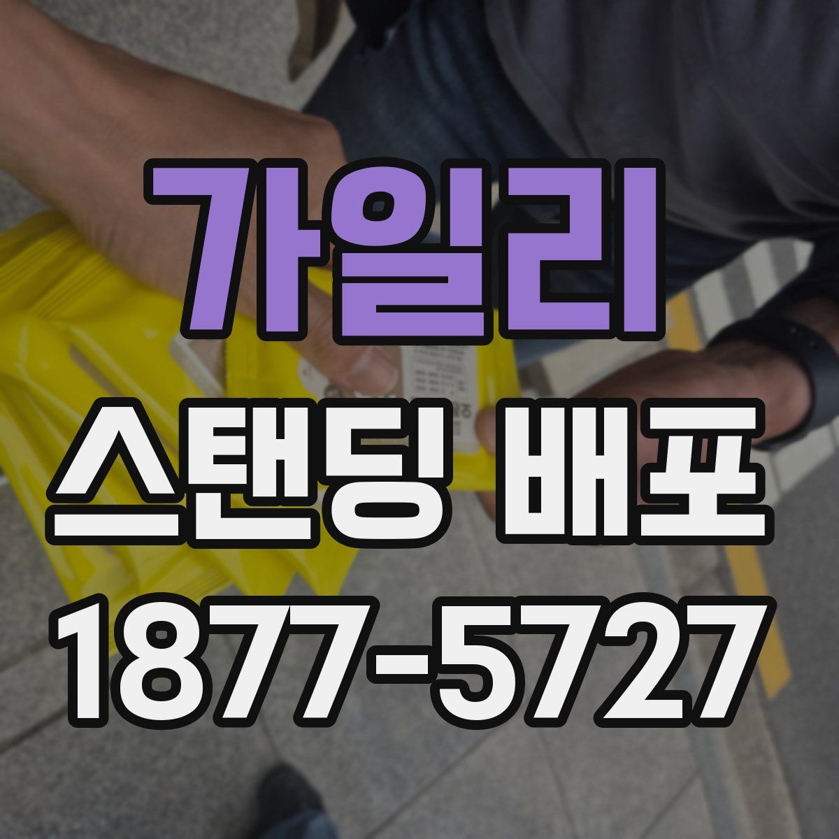 가일리 스탠딩 배포