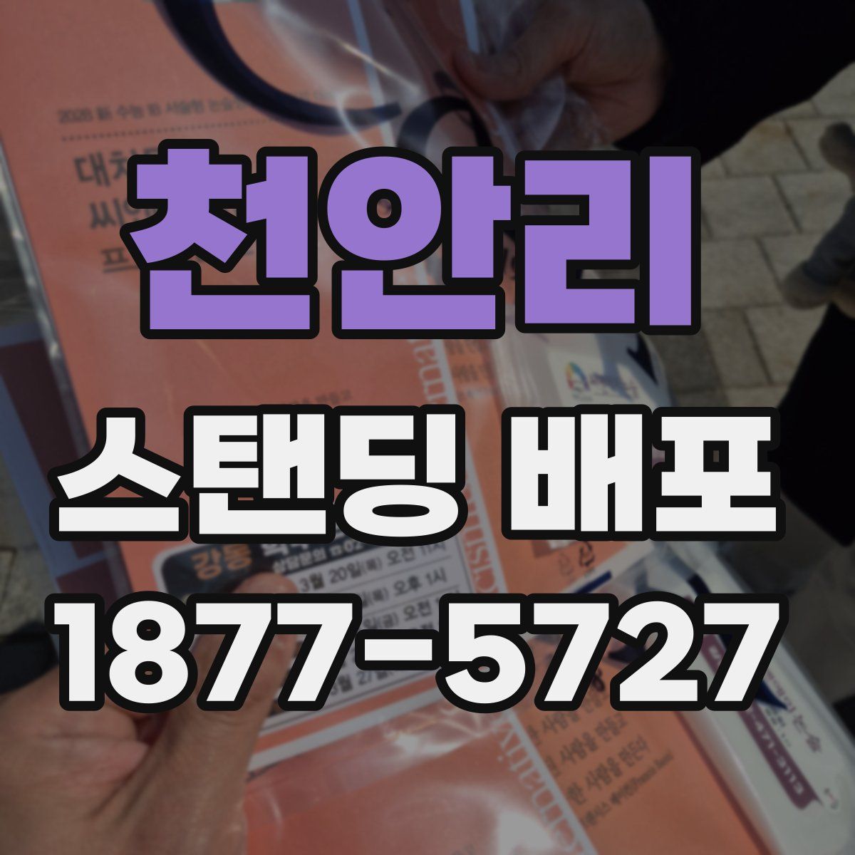 천안리 스탠딩 배포