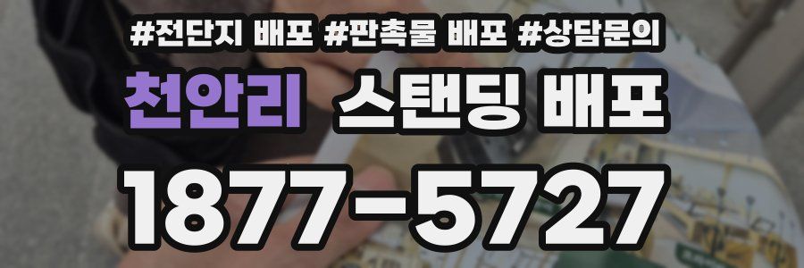 천안리 스탠딩 배포