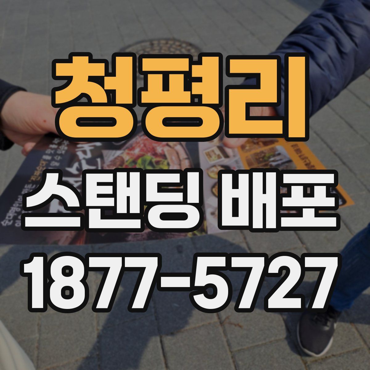 청평리 스탠딩 배포