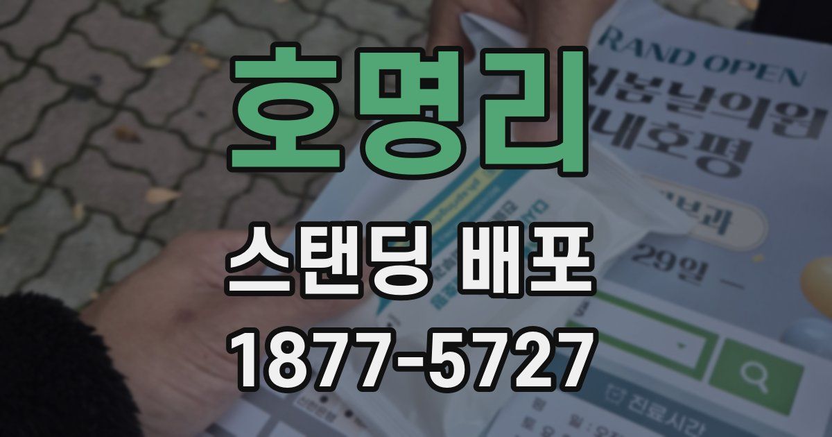 호명리 스탠딩 배포