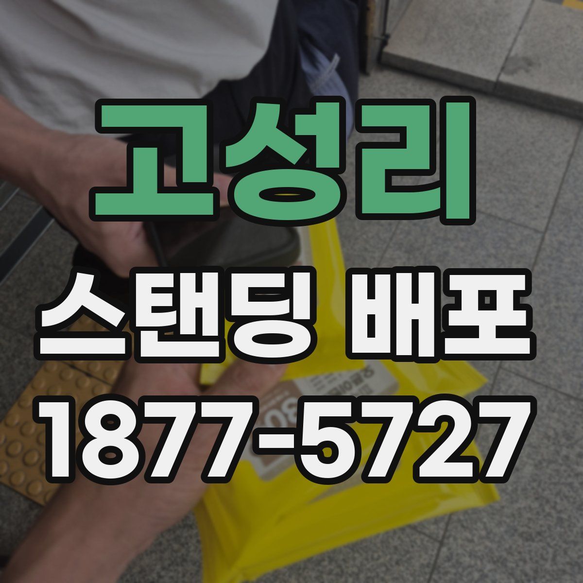고성리 스탠딩 배포