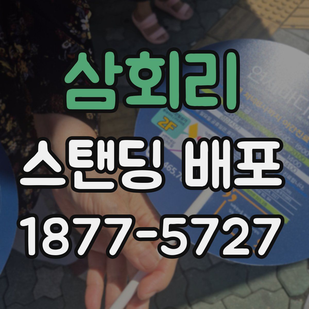 삼회리 스탠딩 배포
