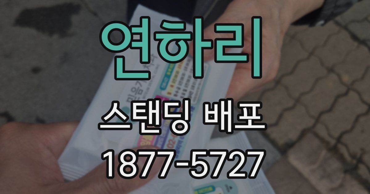 연하리 스탠딩 배포