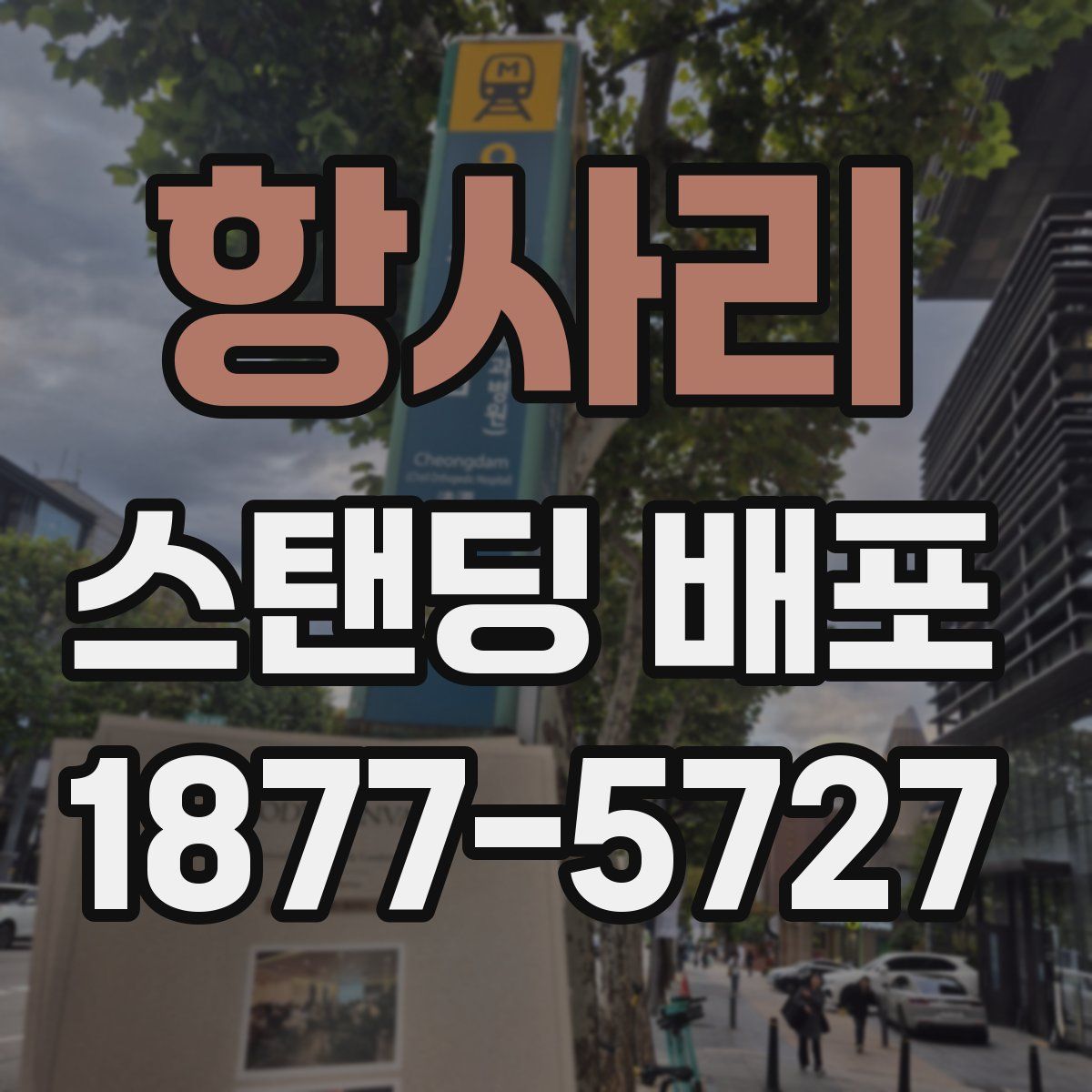 항사리 스탠딩 배포