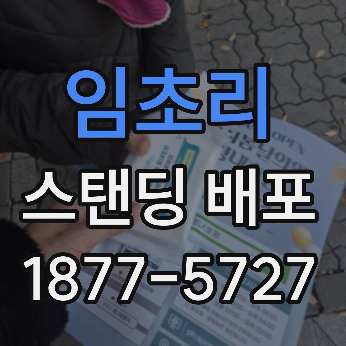 임초리 스탠딩 배포