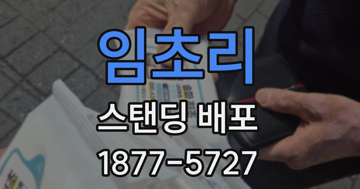 임초리 스탠딩 배포