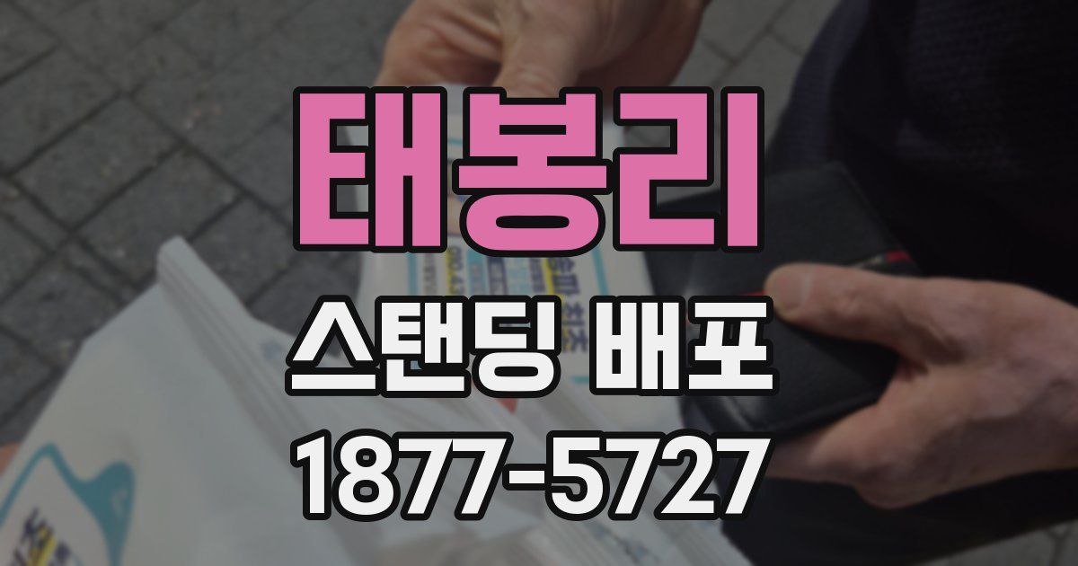 태봉리 스탠딩 배포