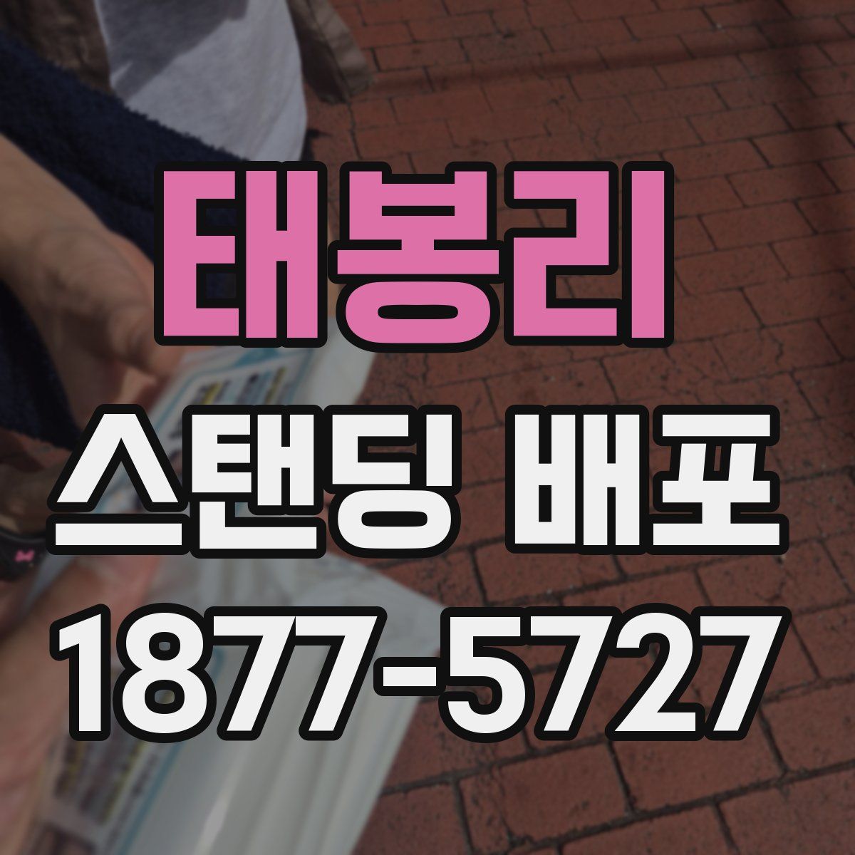 태봉리 스탠딩 배포