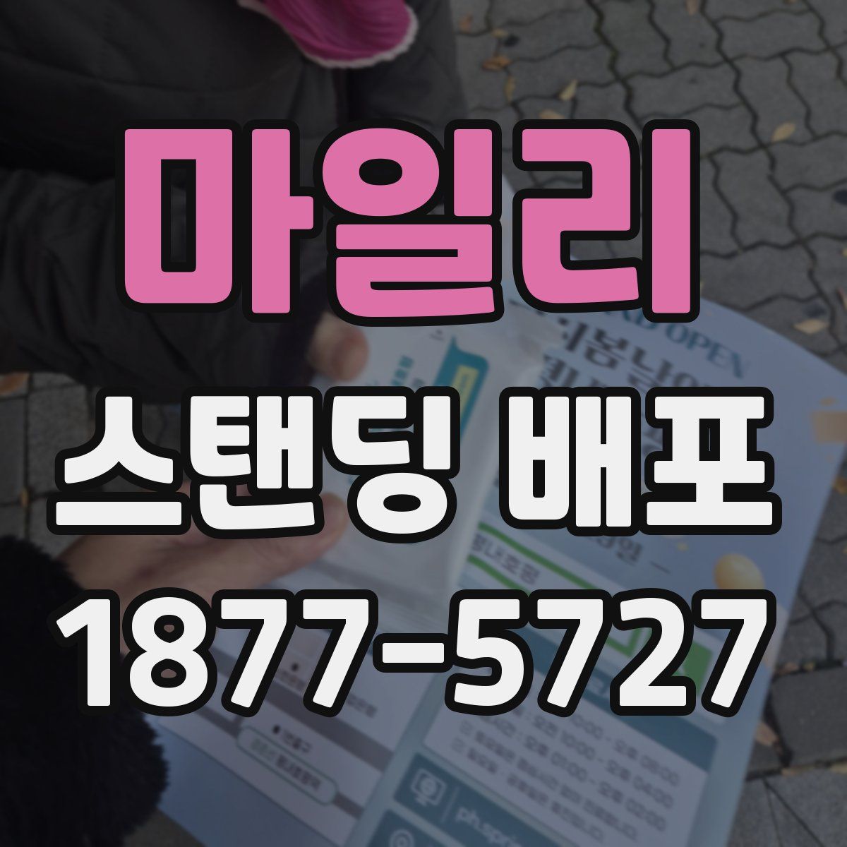 마일리 스탠딩 배포