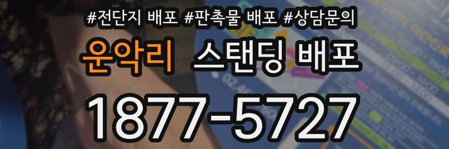 운악리 스탠딩 배포