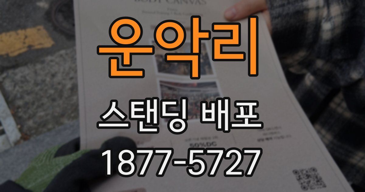 운악리 스탠딩 배포