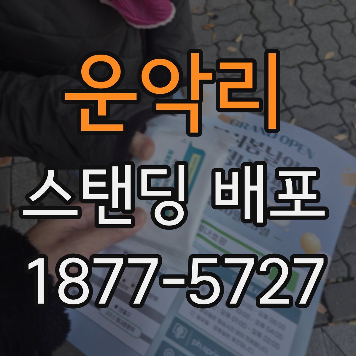 운악리 스탠딩 배포