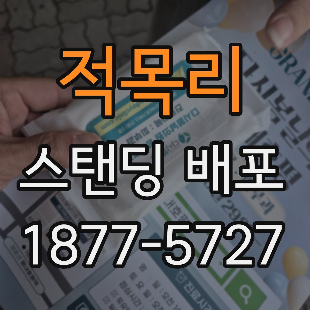 적목리 스탠딩 배포