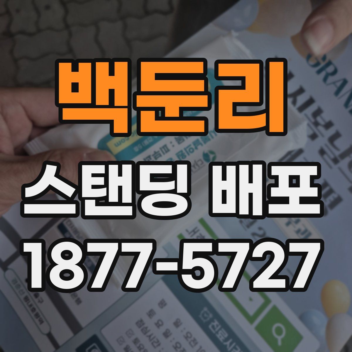 백둔리 스탠딩 배포