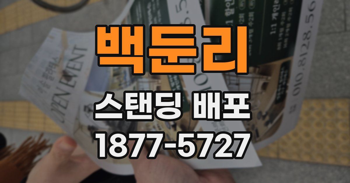 백둔리 스탠딩 배포
