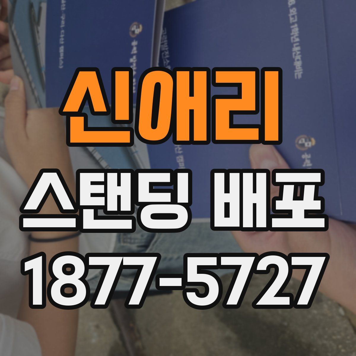신애리 스탠딩 배포