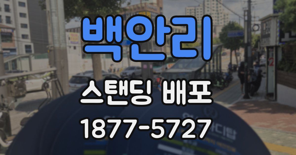 백안리 스탠딩 배포