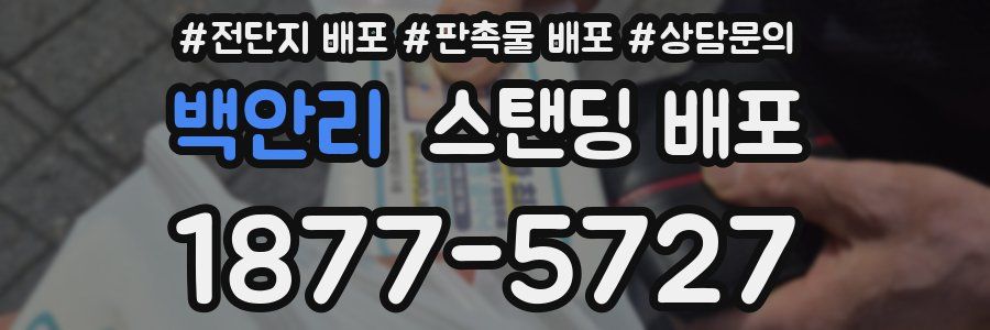 백안리 스탠딩 배포