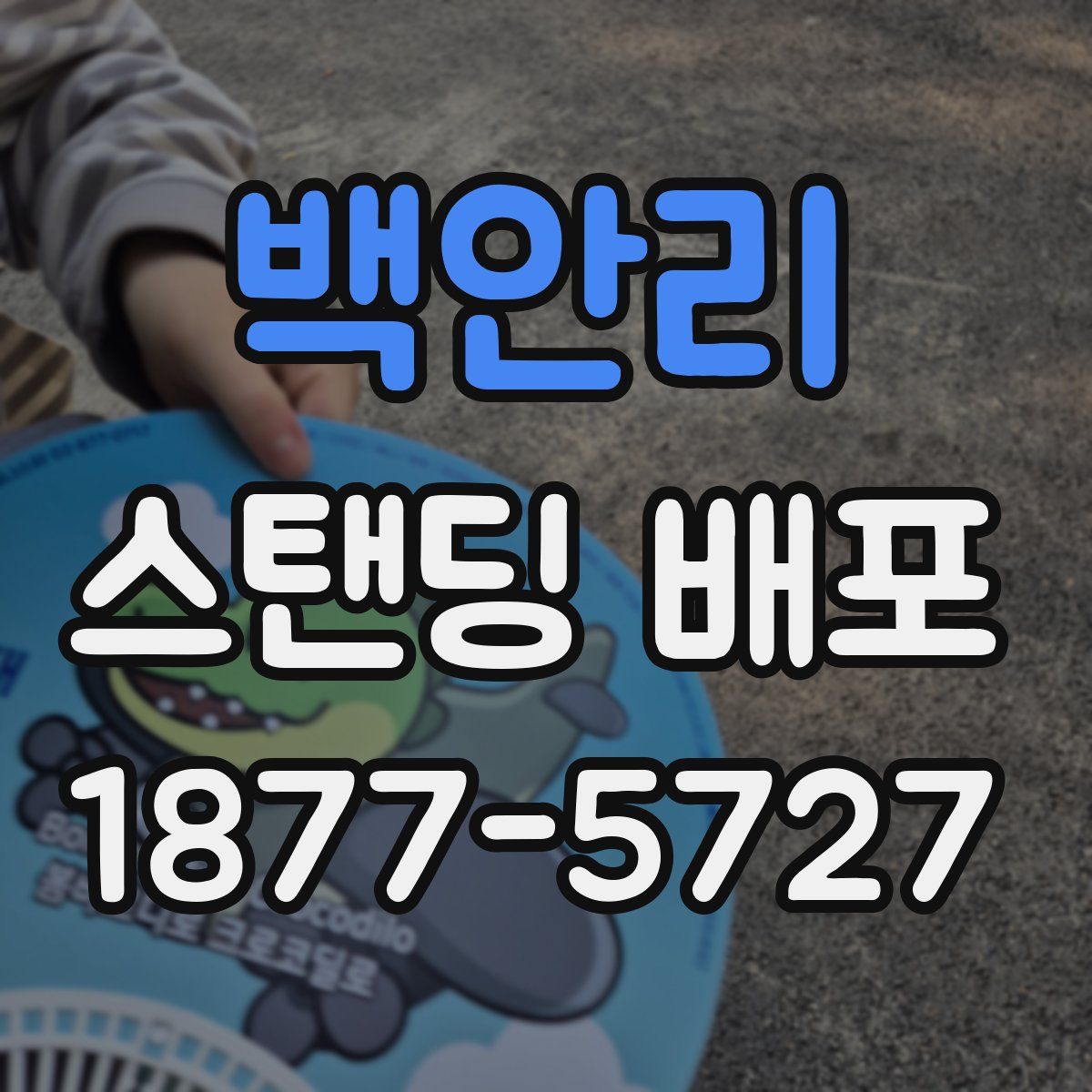 백안리 스탠딩 배포