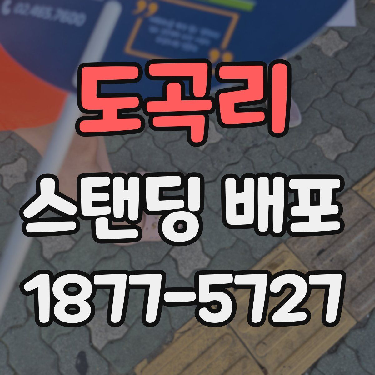 도곡리 스탠딩 배포