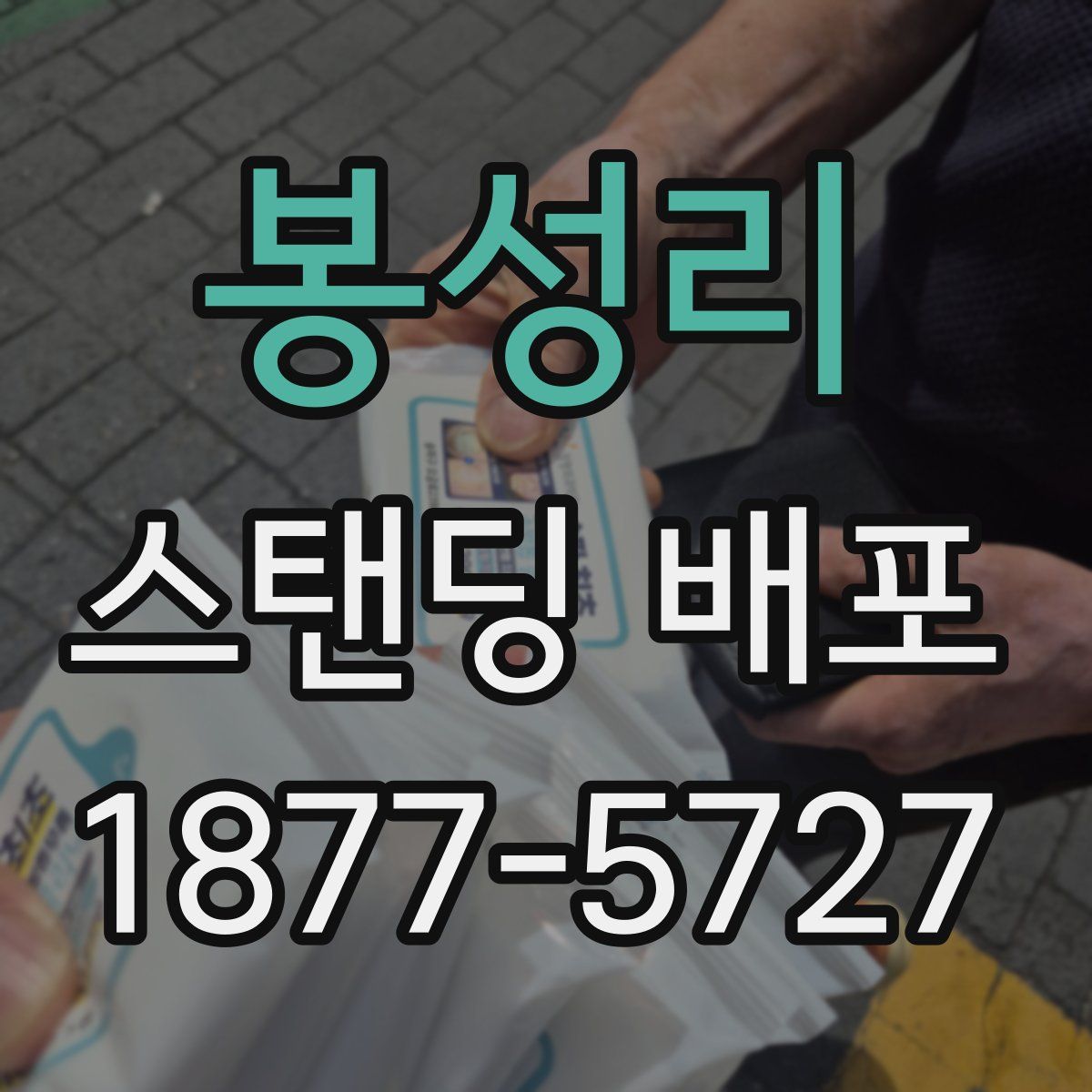 봉성리 스탠딩 배포