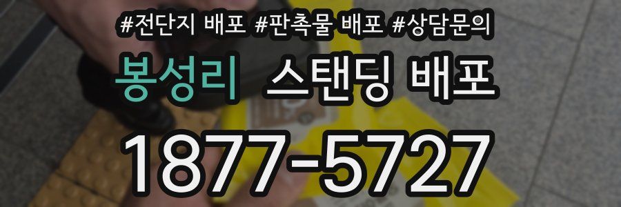 봉성리 스탠딩 배포