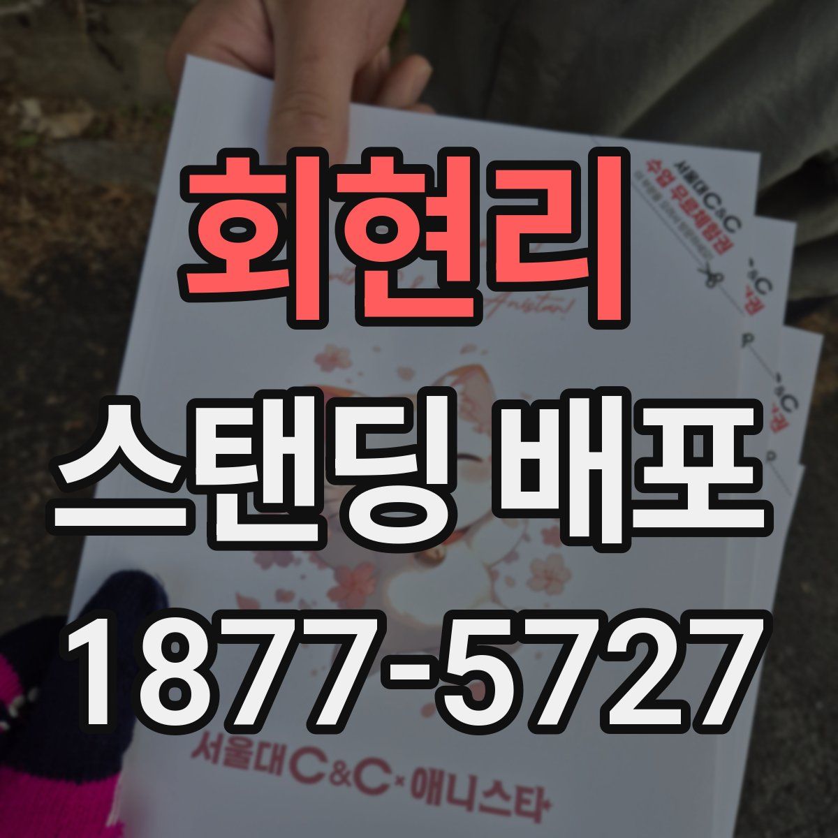 회현리 스탠딩 배포
