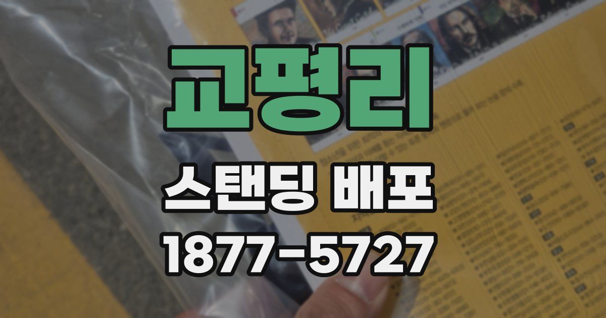 교평리 스탠딩 배포